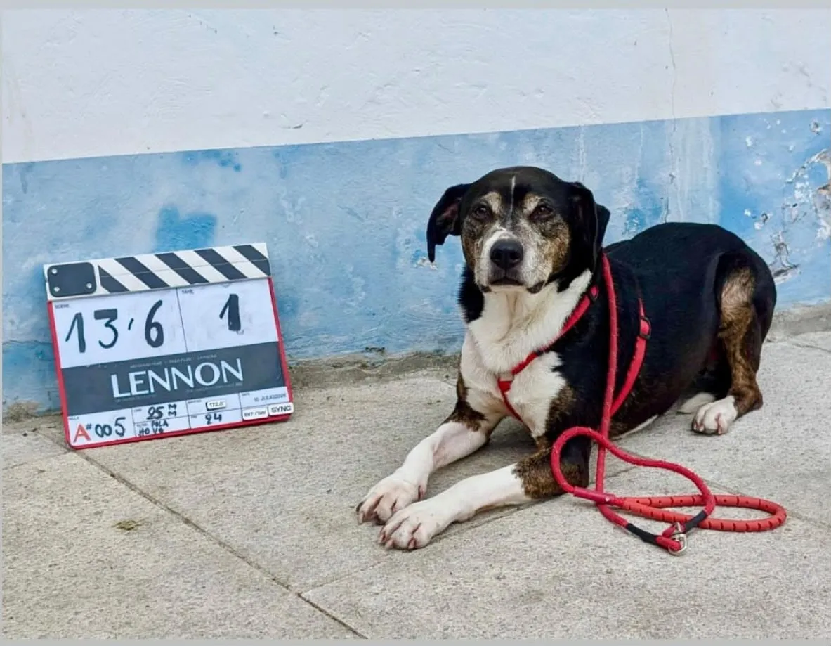 Perro protagonista junto a la claqueta de Lennon