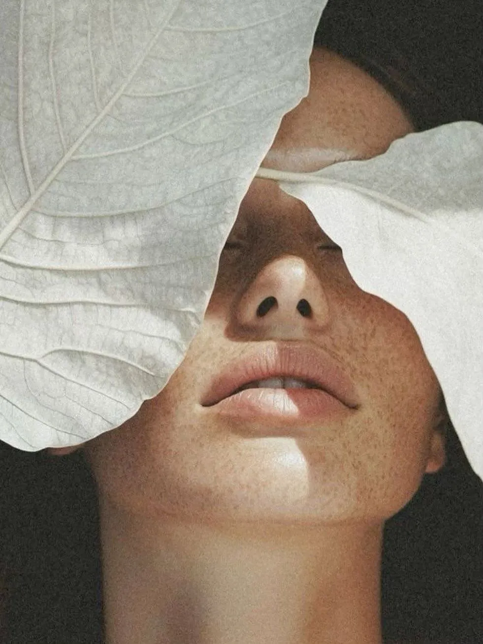 Retrato de belleza con una modelo y hojas blancas